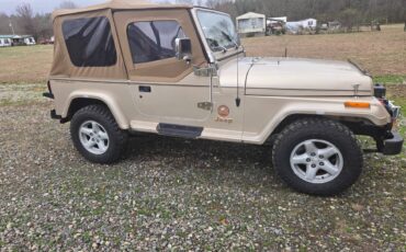 Jeep-wrangler-1994-brown-2