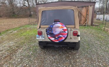 Jeep-wrangler-1994-brown-3