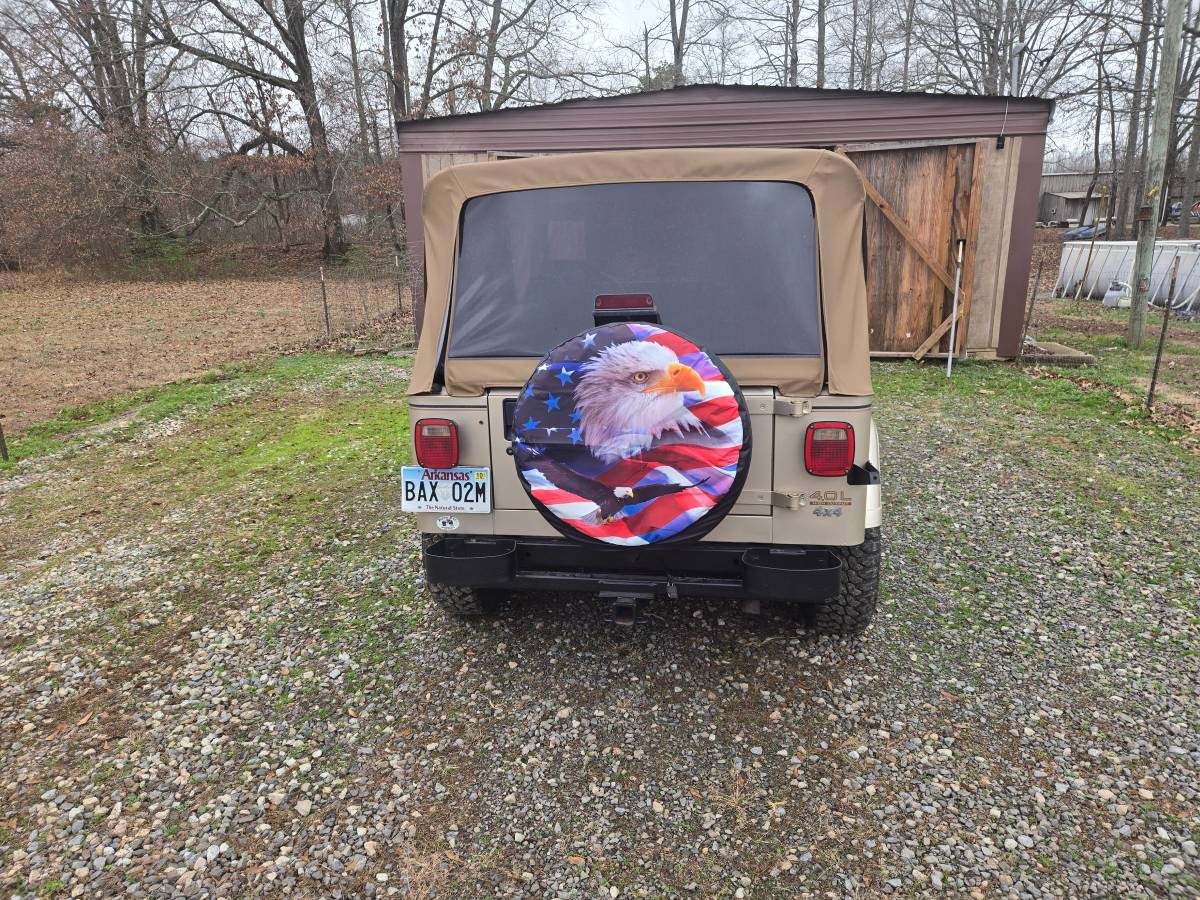 Jeep-wrangler-1994-brown-3