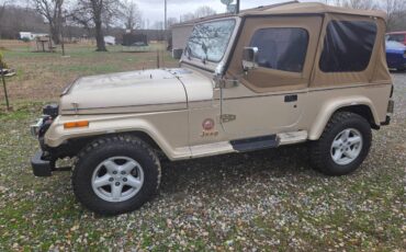 Jeep-wrangler-1994-brown