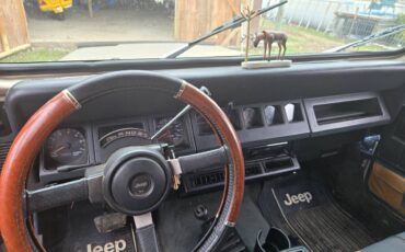 Jeep-wrangler-1994-brown-5