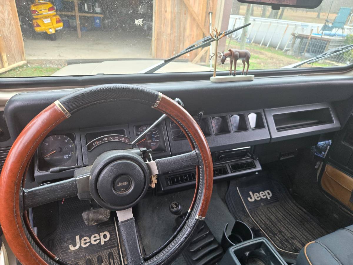 Jeep-wrangler-1994-brown-5