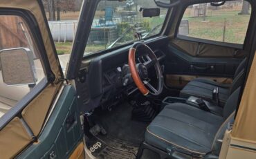 Jeep-wrangler-1994-brown-7