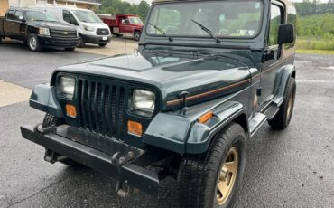 Jeep-wrangler-1994-green-10