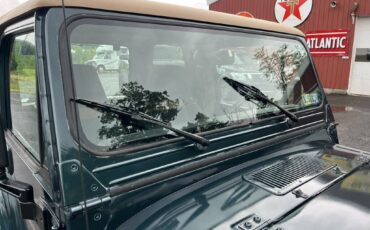 Jeep-wrangler-1994-green-13