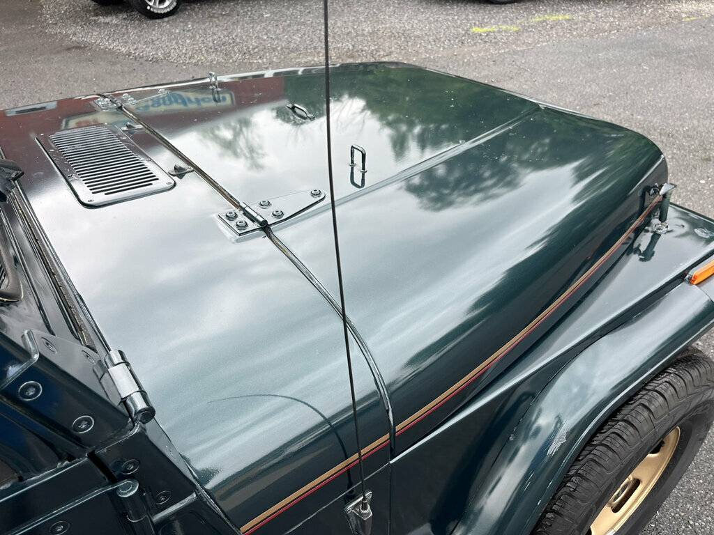 Jeep-wrangler-1994-green-14