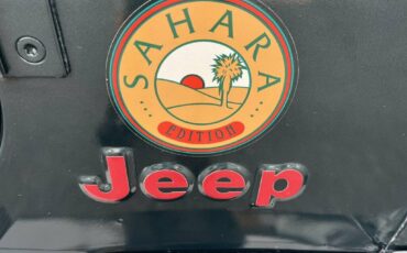 Jeep-wrangler-1994-green-15