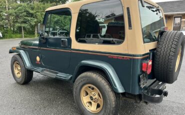 Jeep-wrangler-1994-green-7