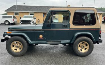 Jeep-wrangler-1994-green-8