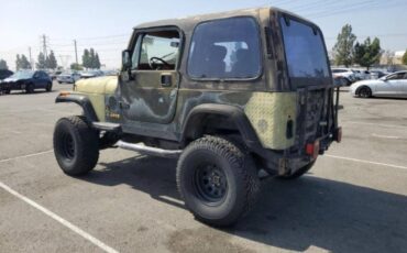Jeep-wrangler-1995-green-1