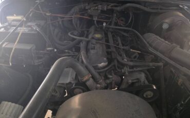 Jeep-wrangler-1995-green-2