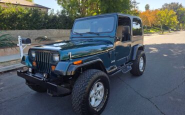Jeep-wrangler-1995-green-3