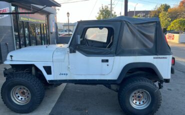 Jeep-wrangler-s-1990-white-3