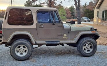 Jeep-wrangler-sahara-1989-green-3