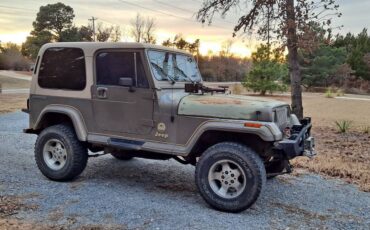 Jeep-wrangler-sahara-1989-green-9