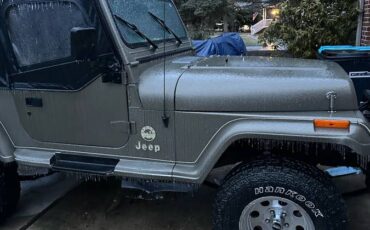 Jeep-wrangler-sahara-1991-brown-8