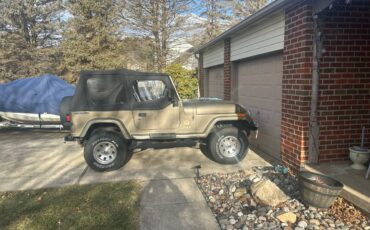 Jeep-wrangler-sahara-1991-brown-9