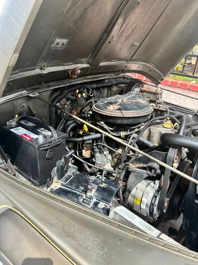 Jeep-wrangler-sahara-edition-1989-green-8