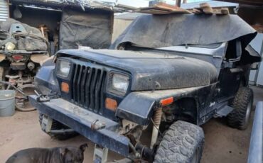 Jeep-wrangler-·-quotsportquot-sport-utility-2d-1988-black-9