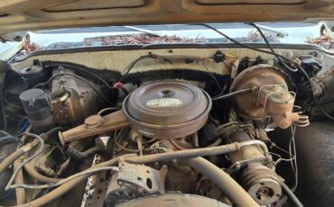 K20-custom-deluxe-lwb-1977-white-7