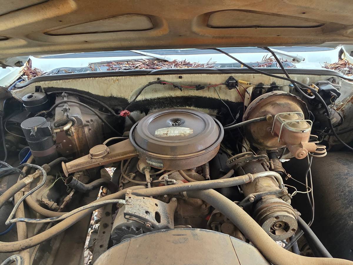 K20-custom-deluxe-lwb-1977-white-7