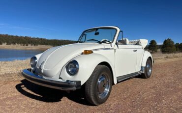 Karman-volkswagen-bug-convertible-1979-white-10