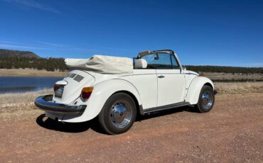 Karman-volkswagen-bug-convertible-1979-white-11