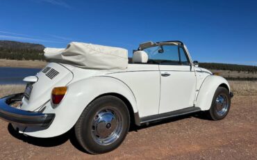 Karman-volkswagen-bug-convertible-1979-white-12