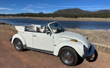 Karman-volkswagen-bug-convertible-1979-white-13