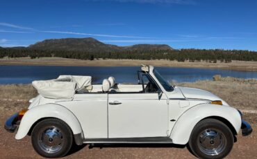 Karman-volkswagen-bug-convertible-1979-white-22
