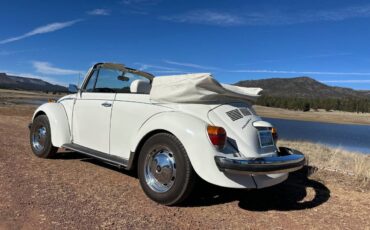 Karman-volkswagen-bug-convertible-1979-white-3