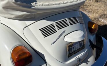 Karman-volkswagen-bug-convertible-1979-white-6