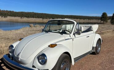 Karman-volkswagen-bug-convertible-1979-white-7