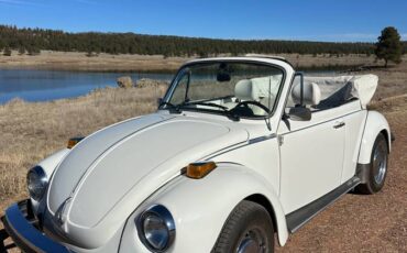 Karman-volkswagen-bug-convertible-1979-white-8