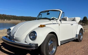 Karman-volkswagen-bug-convertible-1979-white-9