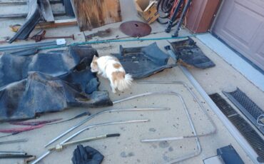 Lancia-beta-zagoto-spider-1979-red-22