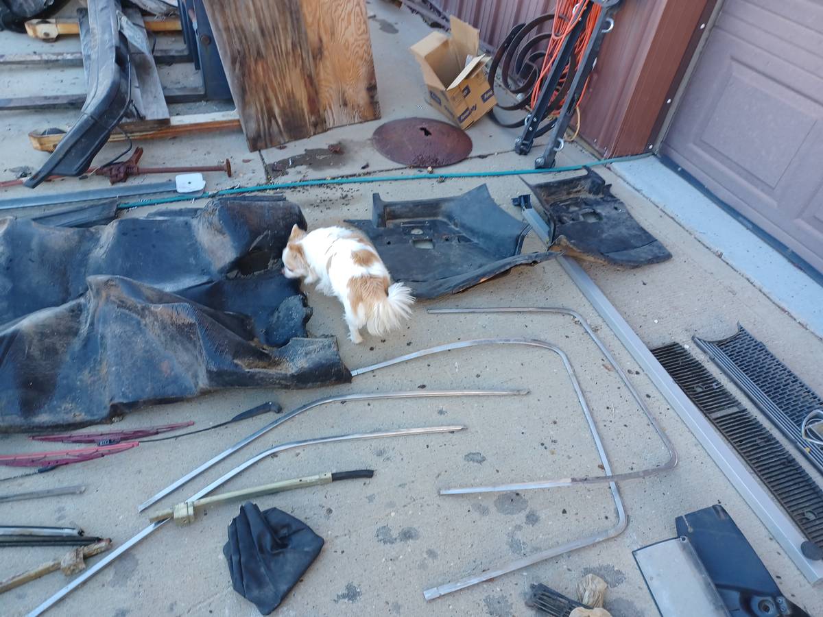 Lancia-beta-zagoto-spider-1979-red-22