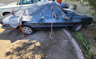 Lancia-scorpion-1976-black-17