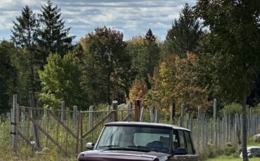 Land-Rover-Range-Rover-1991-SUV-1