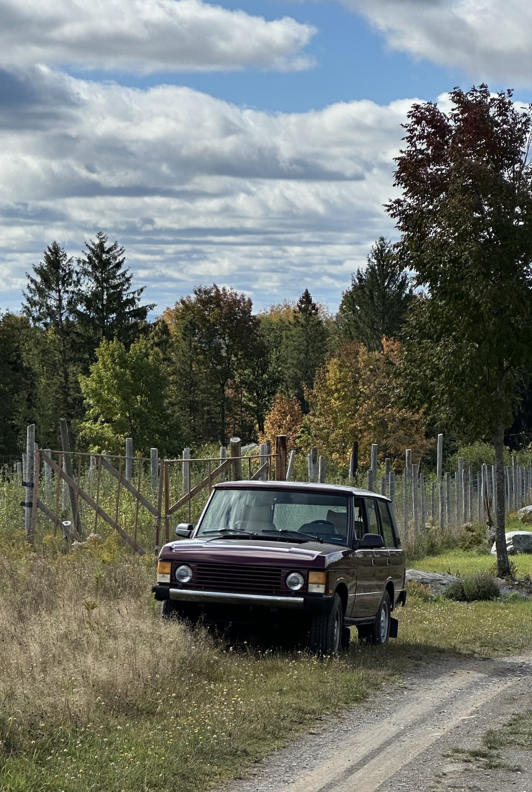 Land-Rover-Range-Rover-1991-SUV-1