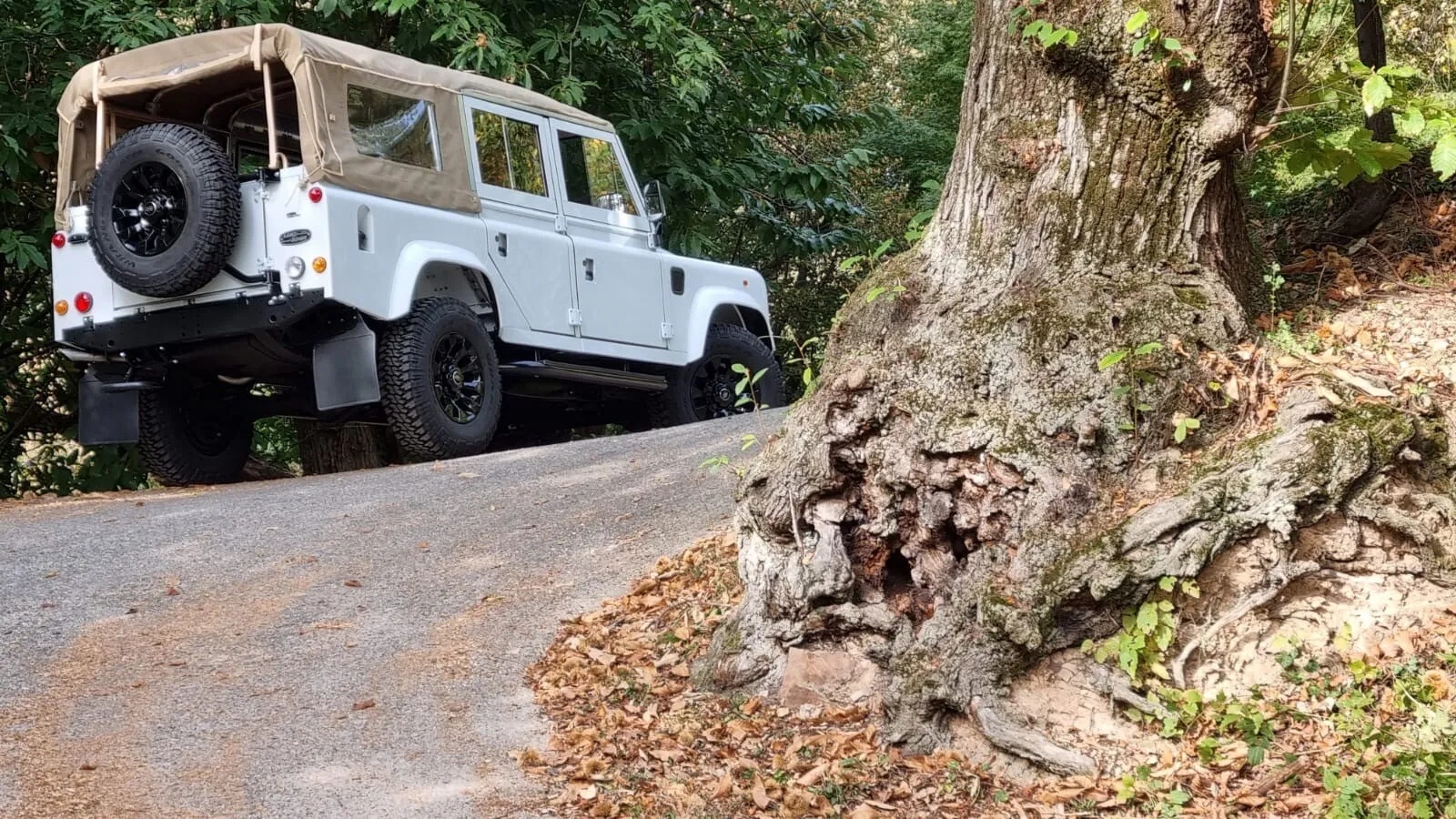 Land-rover-110-1994-White-Tan-1