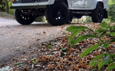 Land-rover-110-1994-White-Tan-2