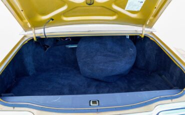 Lincoln-Continental-Mark-IV-1973-Coupe-15