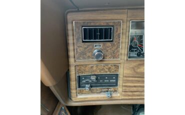 Lincoln-Continental-mark-iv-1974-White-Brownwhite-22