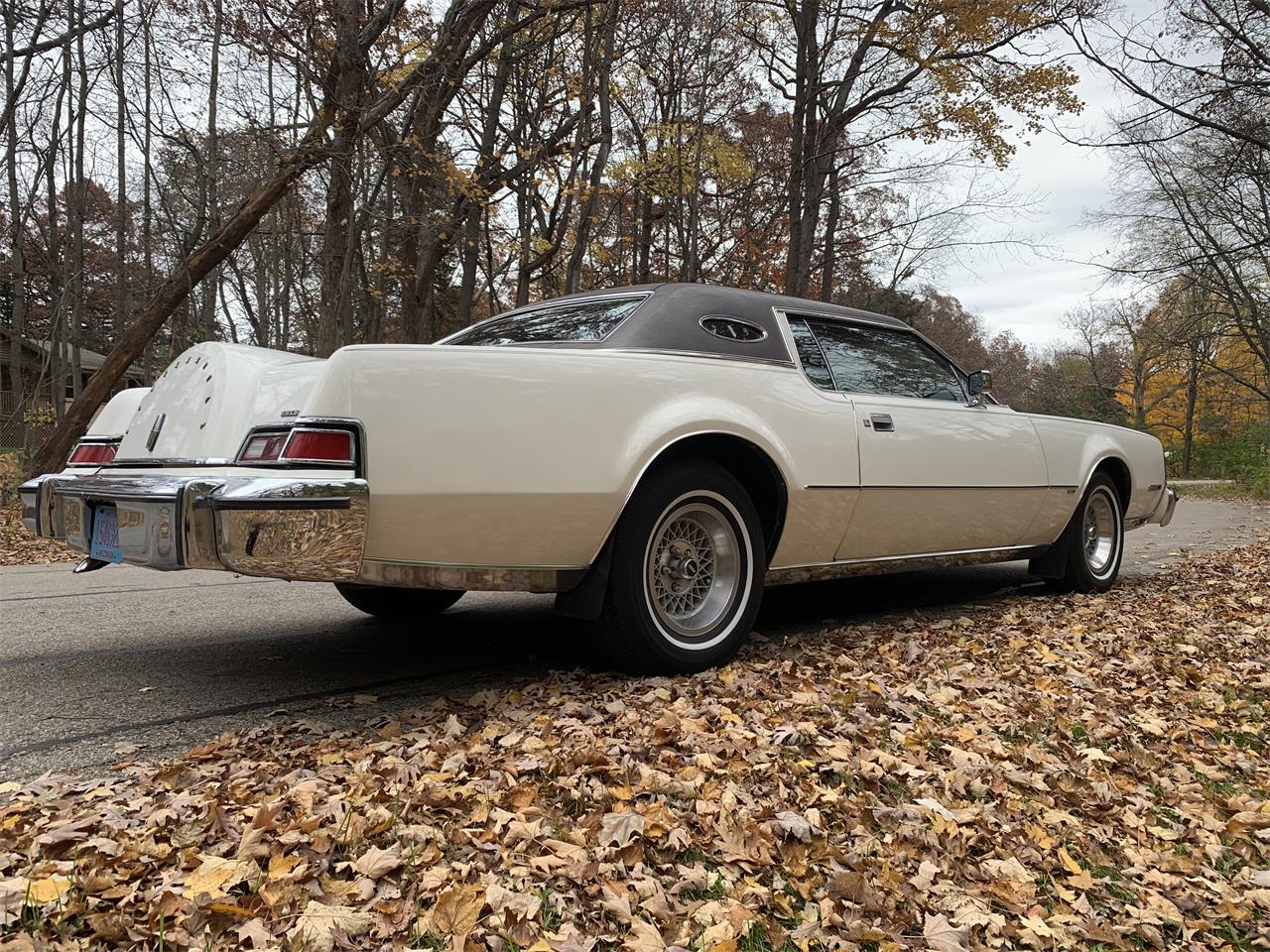 Lincoln-Continental-mark-iv-1974-White-Brownwhite-30