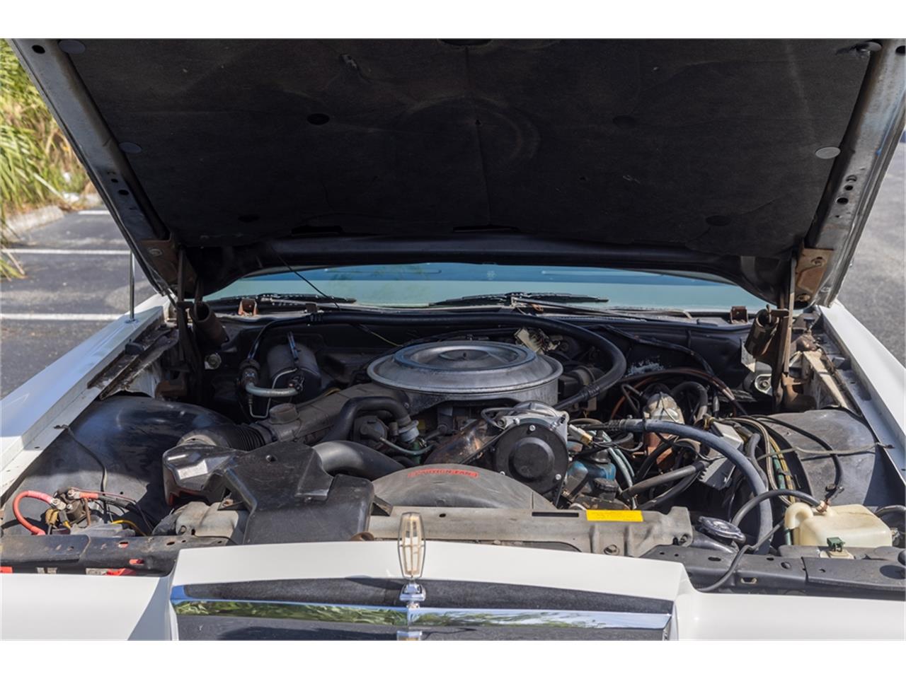 Lincoln-Continental-mark-v-1979-White-Navy-Blue-3