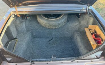 Lincoln-continental-mark-vi-1982-brown-10