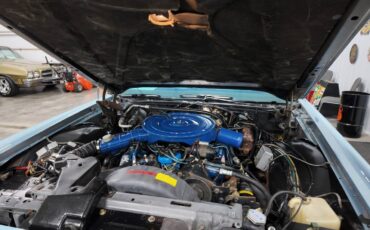 Lincoln-mark-v-1978-7