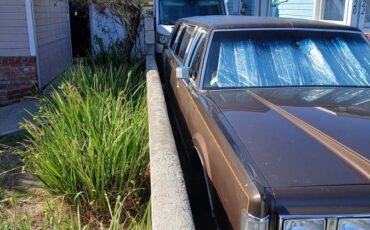 Lincoln-town-car-signature-1981-brown-1