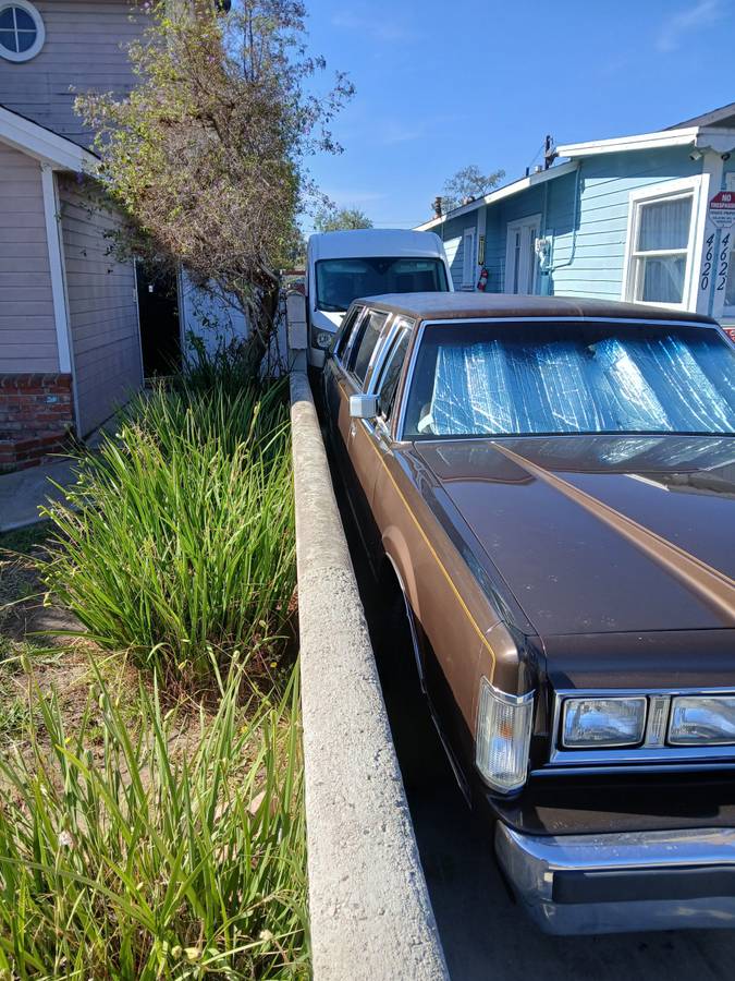 Lincoln-town-car-signature-1981-brown-1